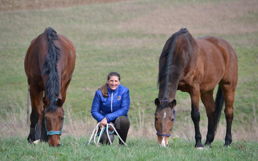 Gastbeitrag von Claudia Grajek zum Thema pferdegstütztes Coaching